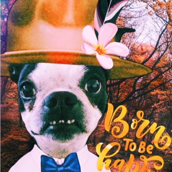 Meet your Posher, Janice - Picture 4 of 16